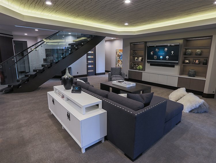 Home Theater and Media Room