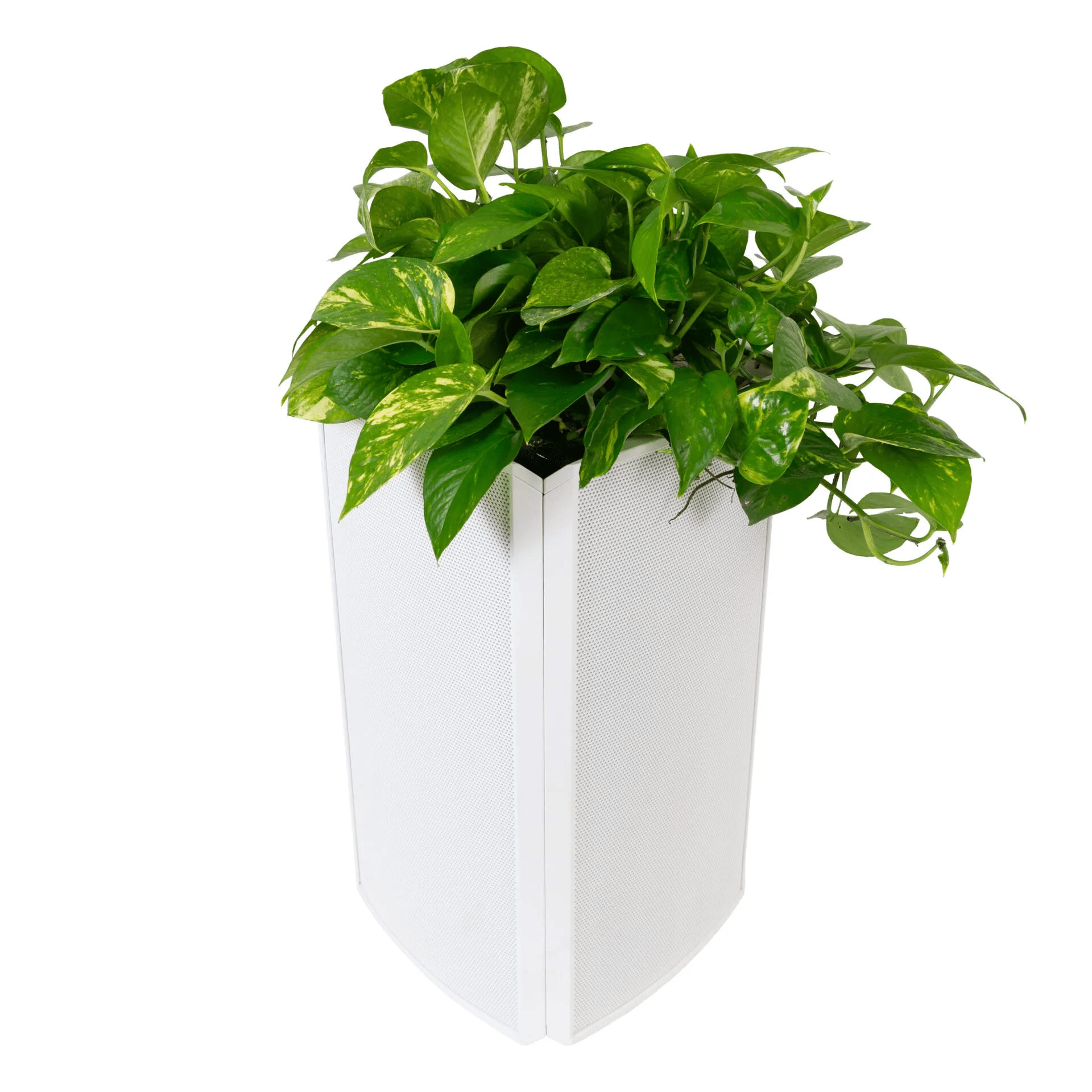 Concealed Audio Razor Planter